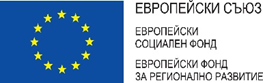 EU Logo