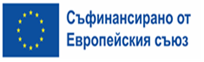 EU Logo